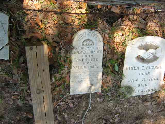 Barnes and Buzbee Cemetery